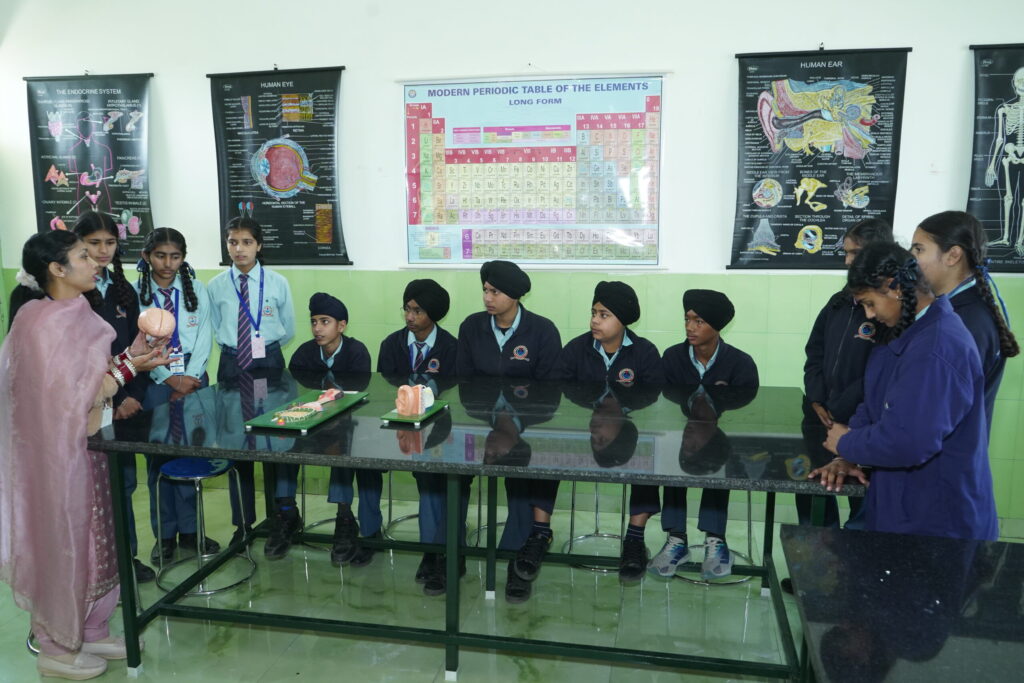 Learning in the Science Composite Lab